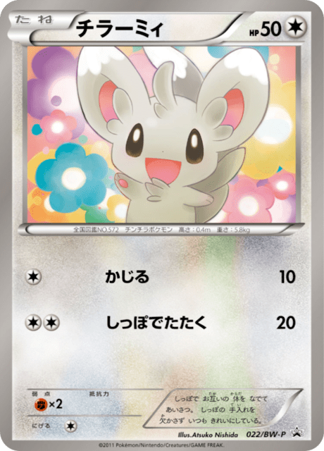 Minccino