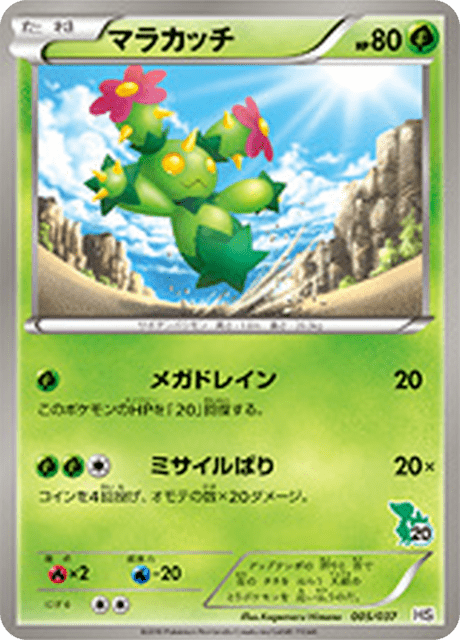 Maractus