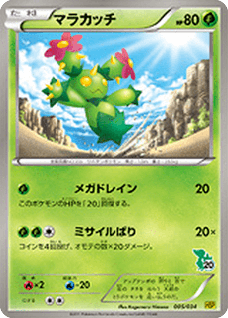 Maractus