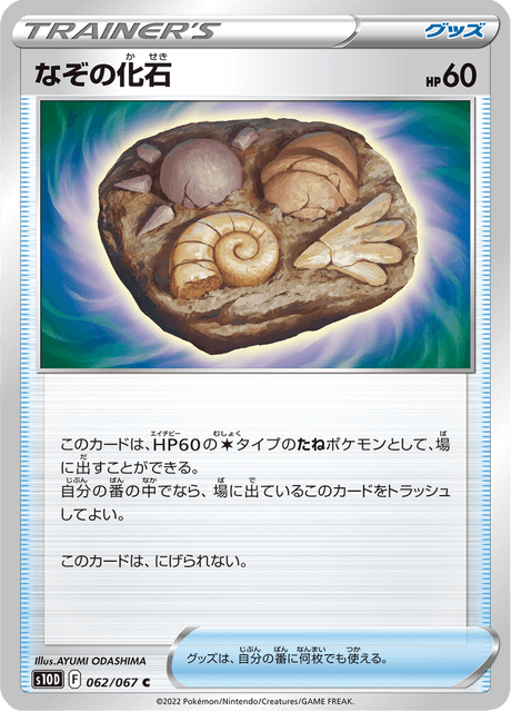 Unidentified Fossil