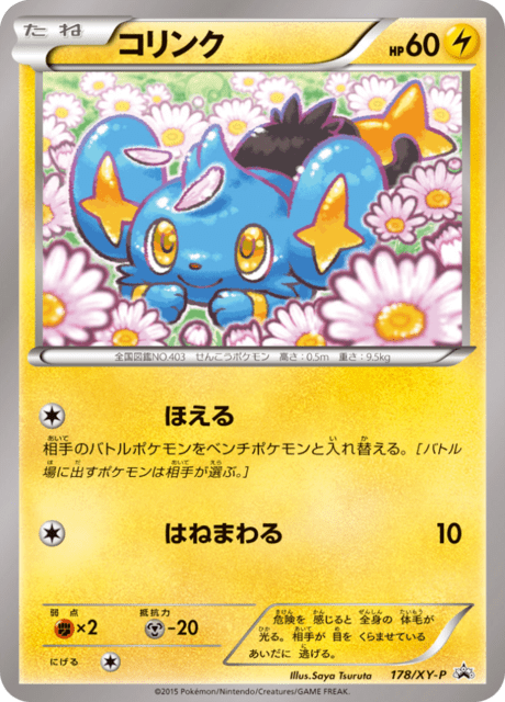 Shinx – Japanische Pokémon-Karte aus XY Promotional Cards