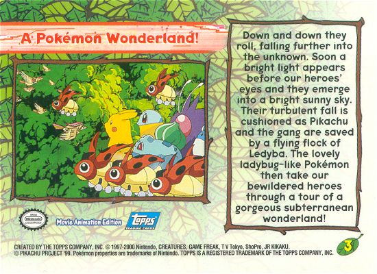 A Pokemon Wonderland! Rückseite