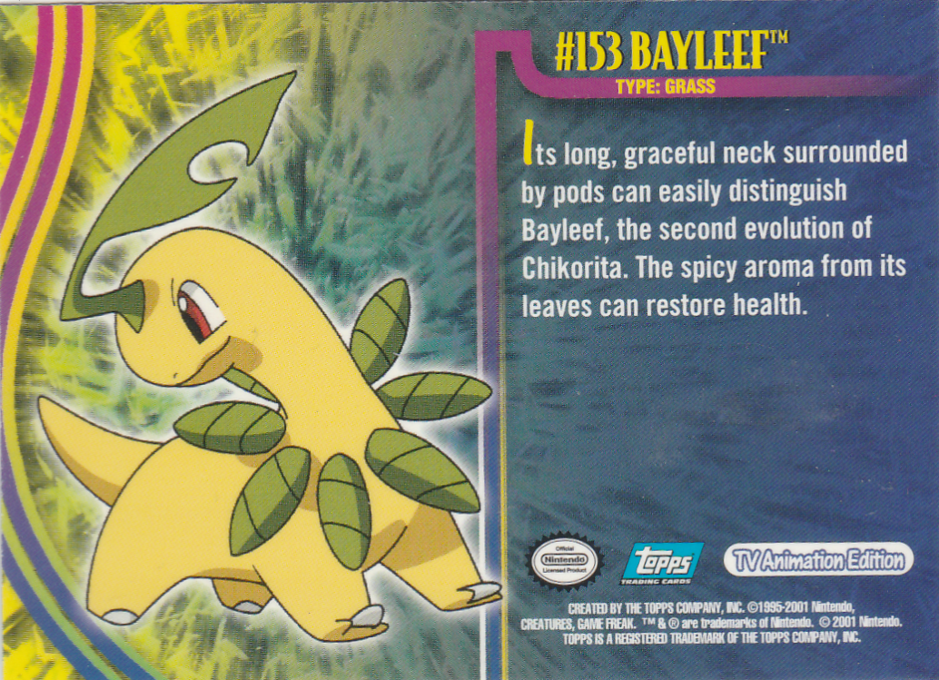Bayleef Rückseite