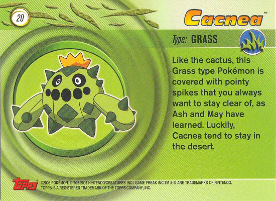 Cacnea Rückseite