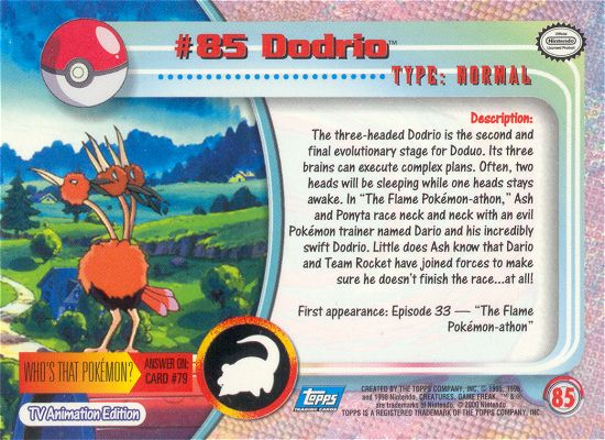 Dodrio Rückseite