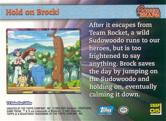 Hold on Brock! Rückseite
