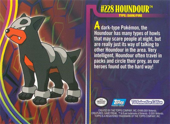 Houndour Rückseite