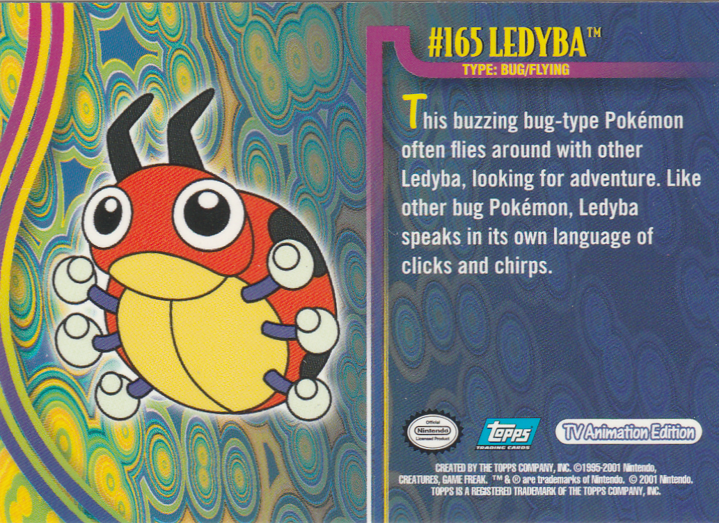 Ledyba Rückseite