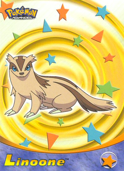 Linoone Vorderseite
