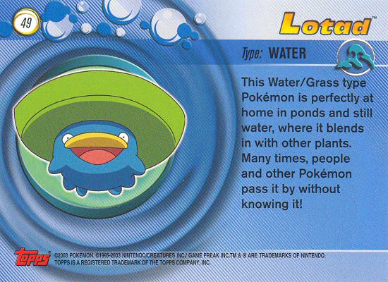 Lotad Rückseite