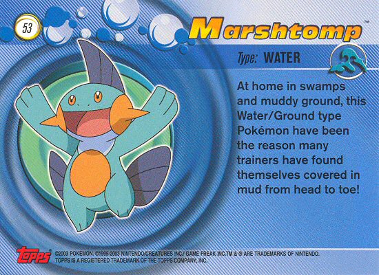 Marshtomp Rückseite