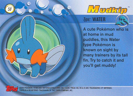 Mudkip Rückseite