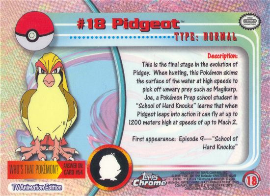 Pidgeot Rückseite