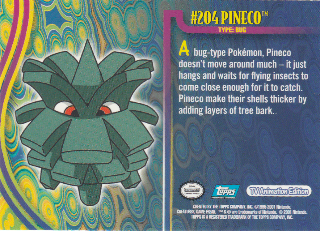 Pineco Rückseite