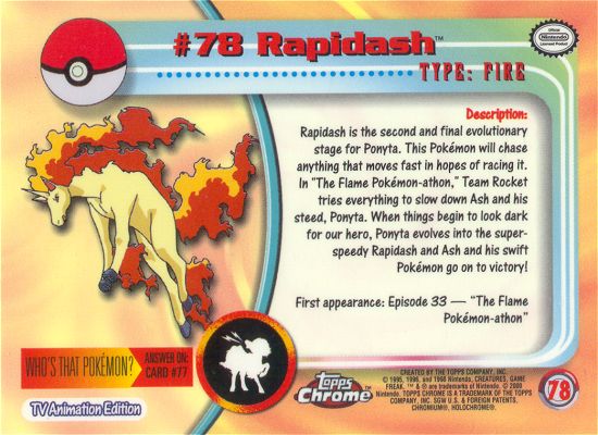 Rapidash Rückseite