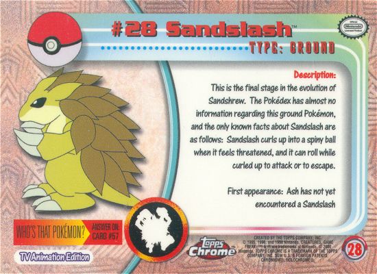 Sandslash Rückseite