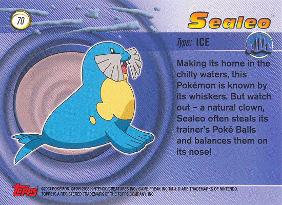 Sealeo Rückseite