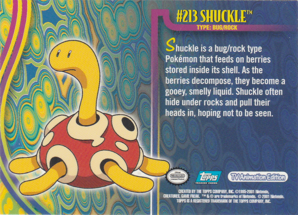 Shuckle Rückseite