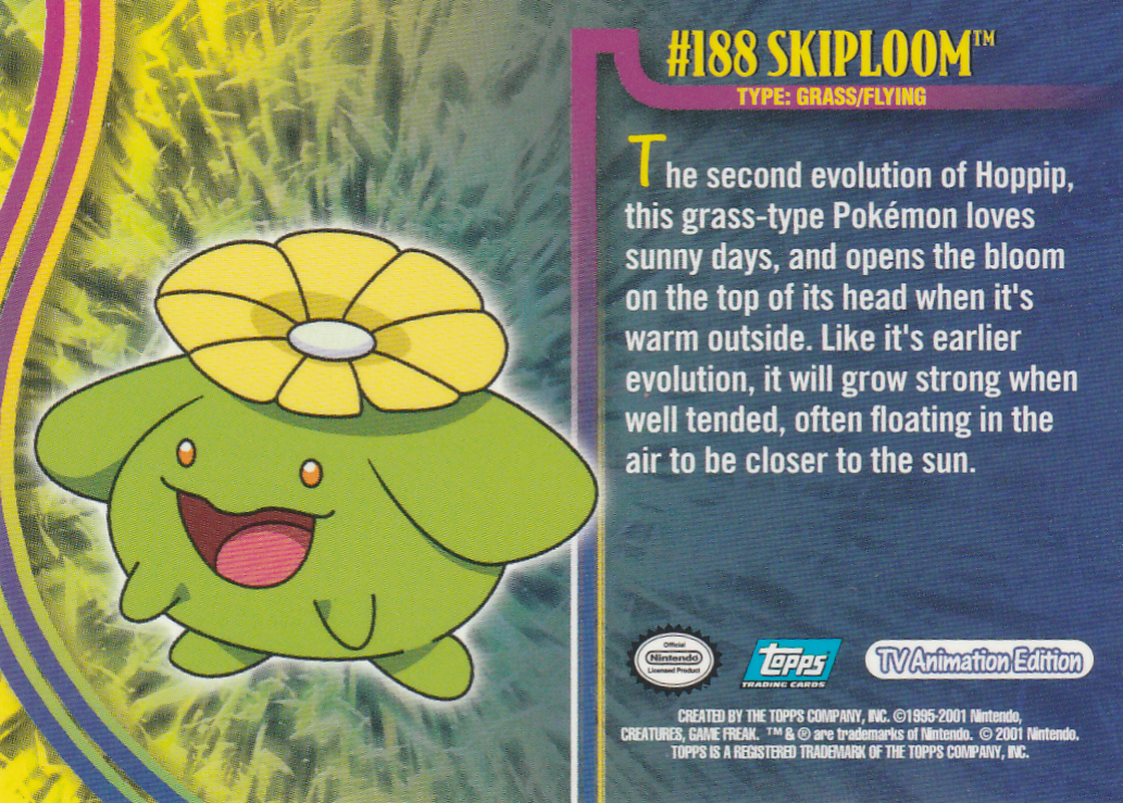Skiploom Rückseite