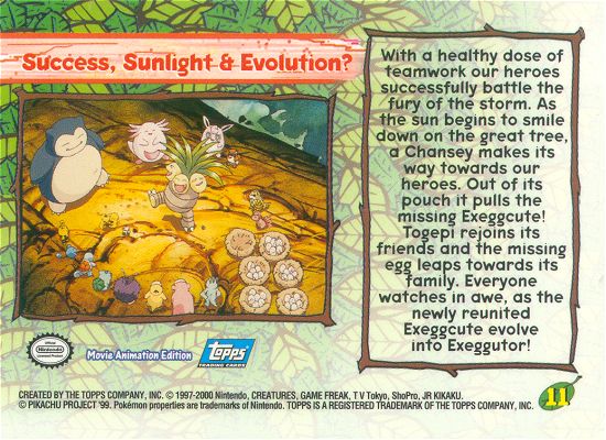 Success, Sunlight & Evolution? Rückseite