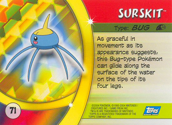Surskit Rückseite