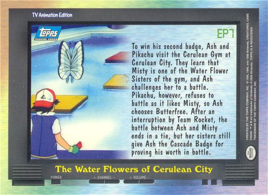 The Water Flowers of Cerulean City Rückseite