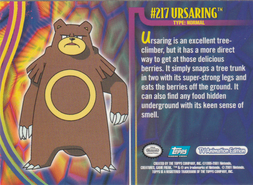 Ursaring Rückseite