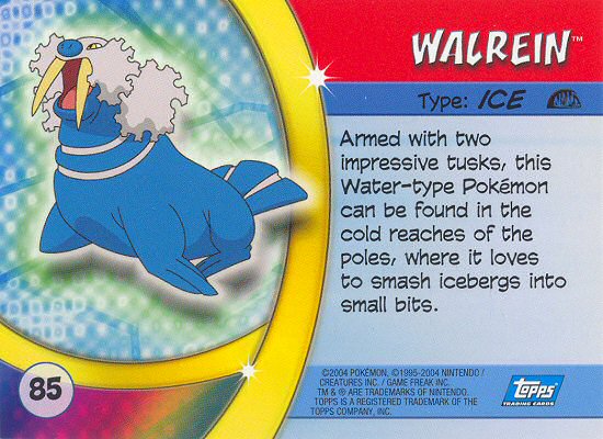 Walrein Rückseite