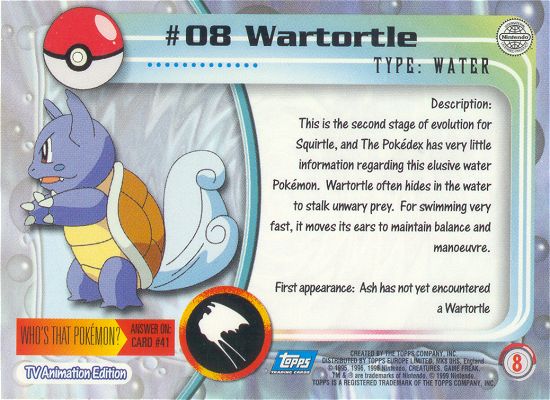 Wartortle Rückseite