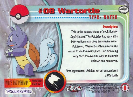 Wartortle Rückseite