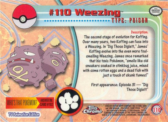Weezing Rückseite