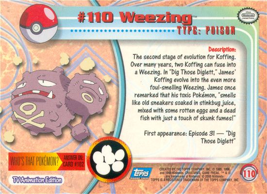 Weezing Rückseite