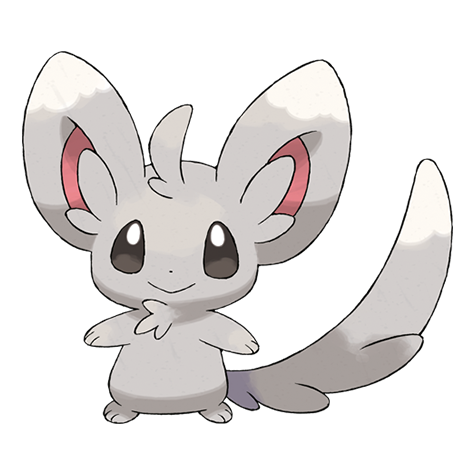 Minccino