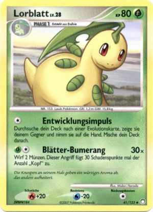 Bayleef - 41 - Geheimnisvolle Schatze