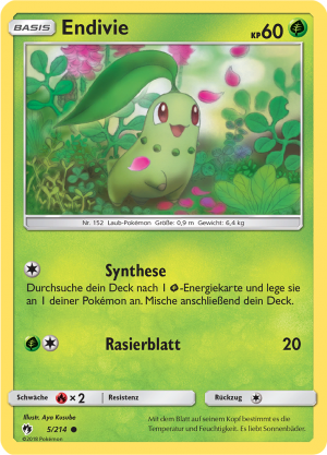 Endivie - 5 - Echo des Donners