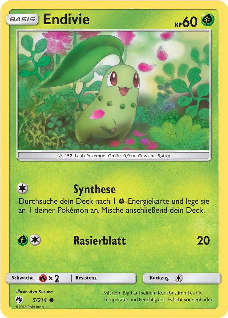 Endivie - 5 - Echo des Donners