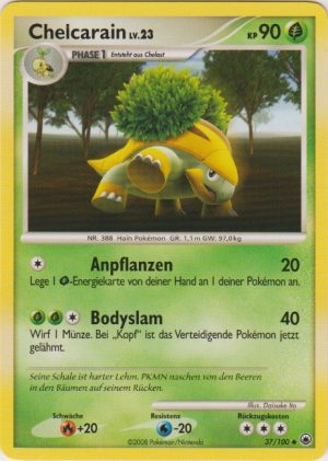 Grotle - 37 - Majestatischer Morgen