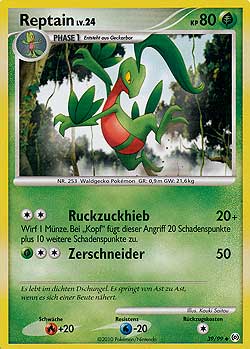 Grovyle - 39 - Arceus