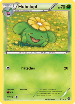 Hubelupf - 4 - Dampfkessel