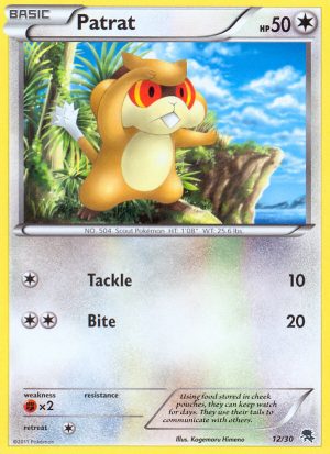 Patrat - 12 - BW Trainer Kit Zoroark