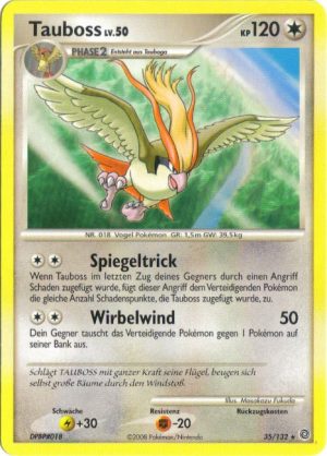 Pidgeot - 35 - Ratselhafte Wunder