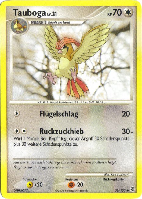 Pidgeotto - 58 - Ratselhafte Wunder