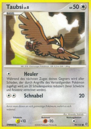 Pidgey - 99 - Ratselhafte Wunder