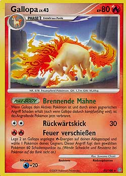 Rapidash - 22 - Sturmtief