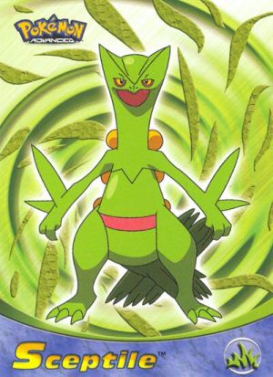 Sceptile-69-Pokemon Advanced