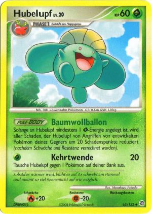 Skiploom - 65 - Ratselhafte Wunder