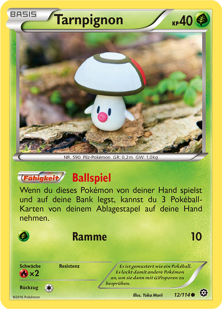 Tarnpignon - 12 - Dampfkessel