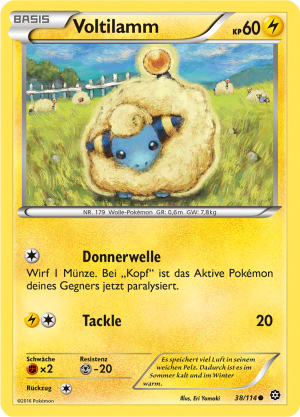 Voltilamm - 38 - Dampfkessel