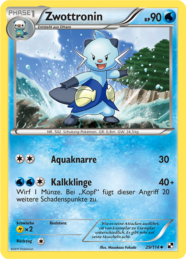 Zwottronin - 29 - Schwarz & Weiß