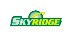 Skyridge series